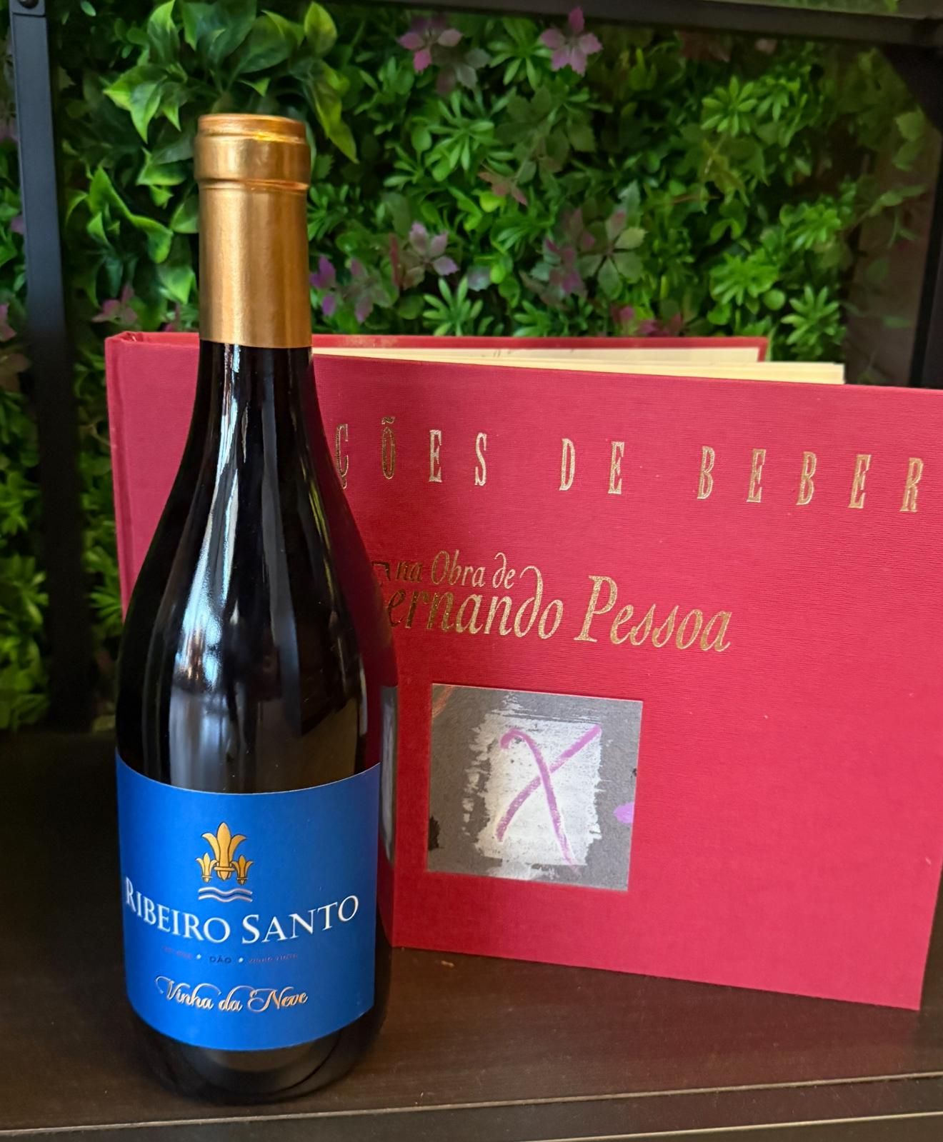 Ribeiro Santo Vinha da Neve